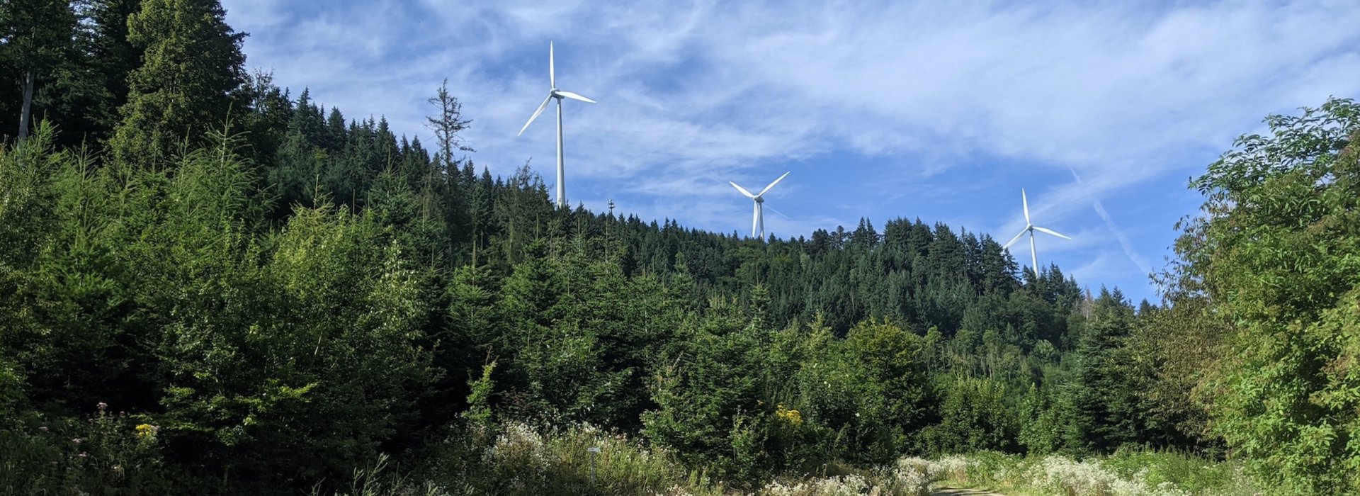 Bedeutung der Windenergie für Deutschland