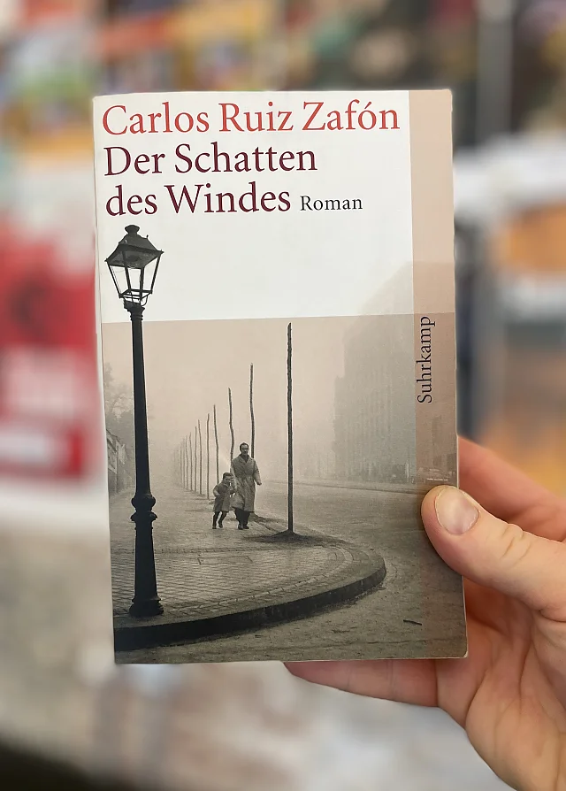 Schatten des Windes
