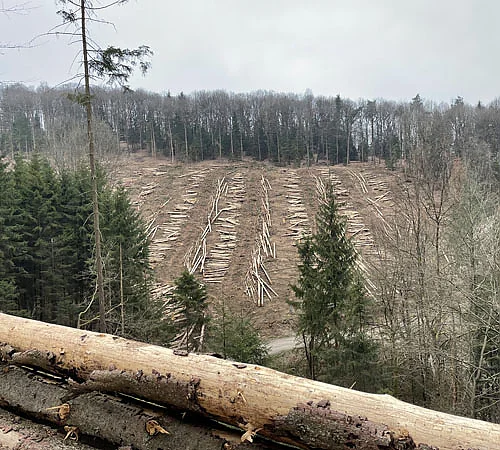 klimawandel kachel